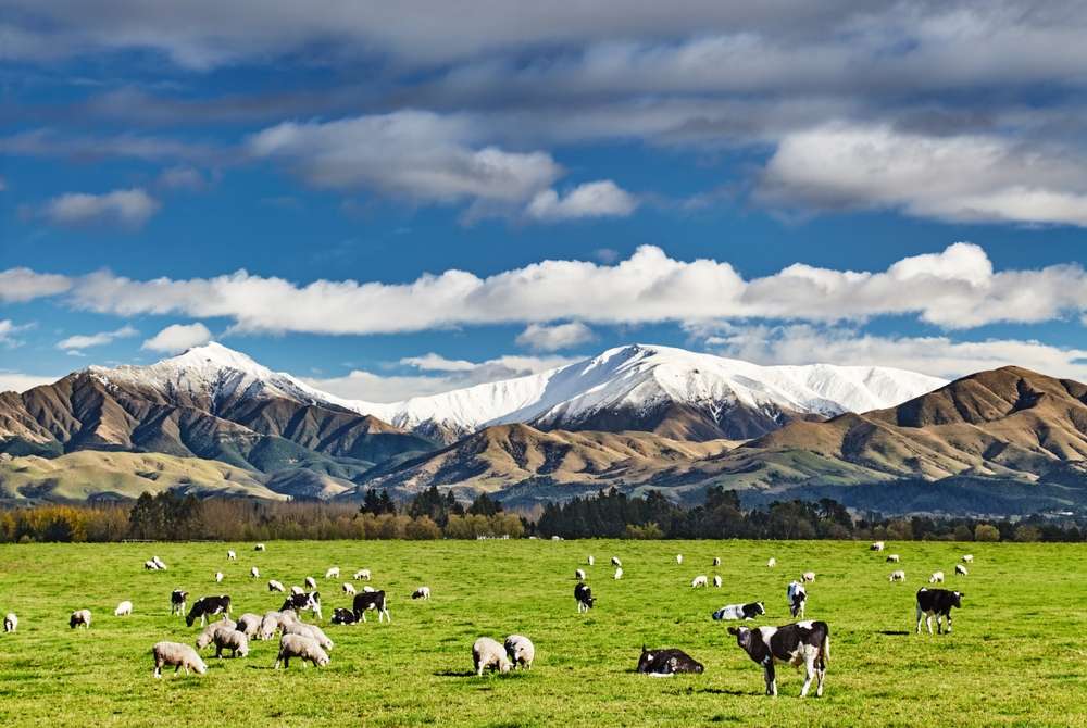 New Zealand